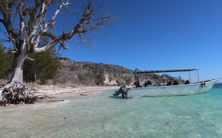 Boat dive north and south